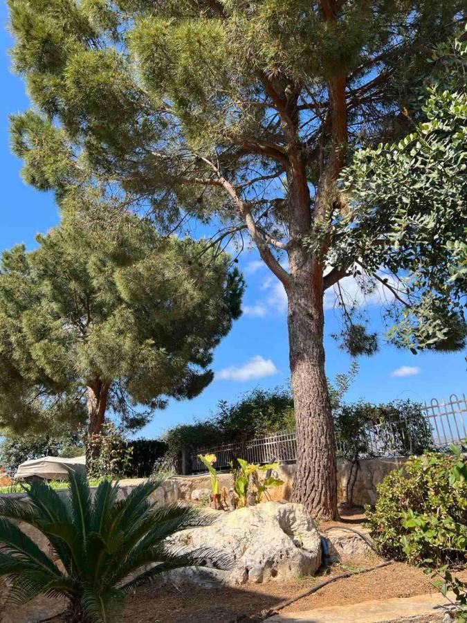 Kounoupidhianá The Twin Pines Home מראה חיצוני תמונה